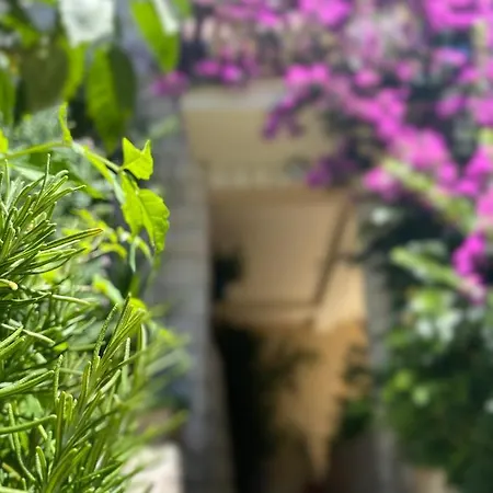 House Josip Apartment Makarska Exterior photo