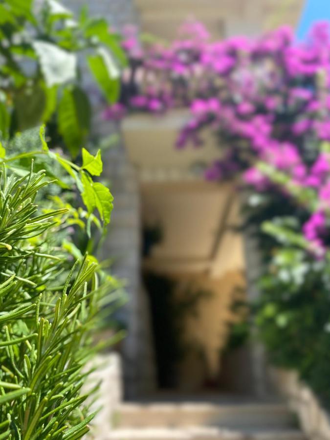 Apartman House Josip Makarska
